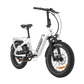 RAMBO BIKES Ranger Folding E-Bike